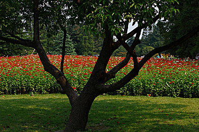 黄台｜千年古韵黄台焕新生，探寻历史文化名村魅力-4