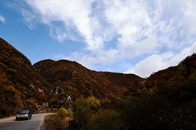 性别 自由 凸轮 管 西元点｜“科技赋能女性新未来，凸轮管西元点启航性别平等新纪元”-3