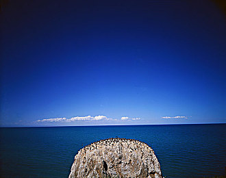 yw193coc龙物永不联还是原来｜龙物联动之谜：解密yw193coc战斗力提升之道-1