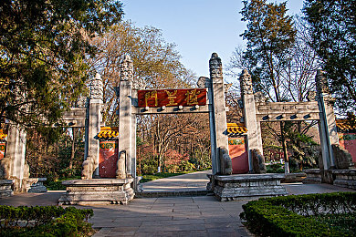 六月丁香色婷婷｜夏花绽放·丁香花海之旅-2