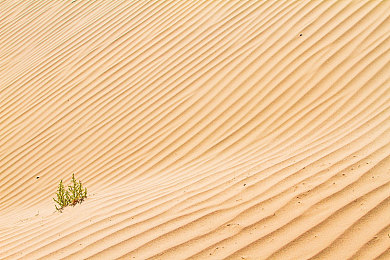 大菠萝福建官方人口2024｜“福建人口新画卷：2024年数据解析与未来展望，挑战与机遇并存”-4