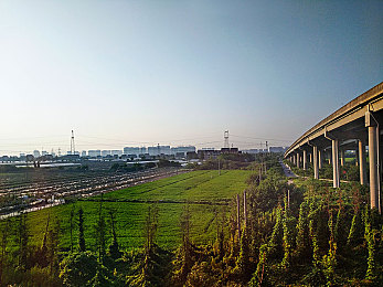 四虎｜反腐风暴：四虎风云录-2