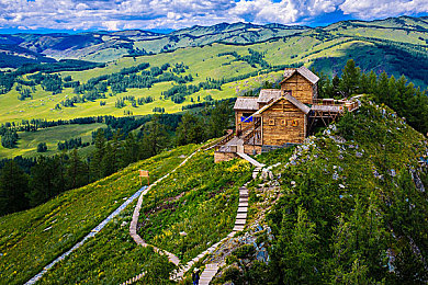 水母娘娘40公分消失术|海洋奇观:揭秘水母娘娘神秘40公分消失术,探索海洋奥秘之旅-4