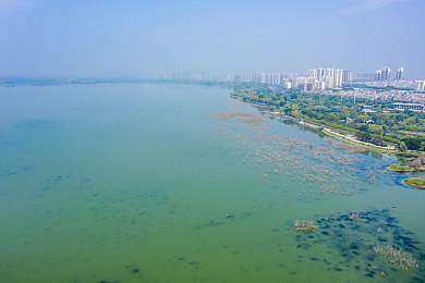 108款app禁止app安装有风险|数字时代警钟长鸣:108款高危应用禁入,手机安全如何守护?-1