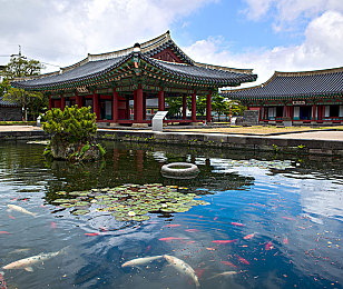 99直播｜直播新纪元，99直播引领未来娱乐潮流-3