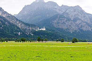 体育生被捆绑玩弄取精GV｜体育生被捆绑玩弄非法取精：社会震惊，警方全力调查-2