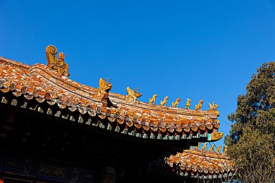 男生和女生差差软件｜趣味游戏体验：探索性别差异，男生女生差差软件带你轻松畅玩-1