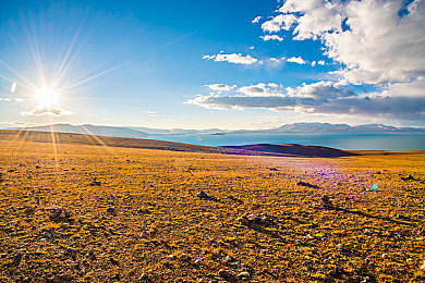 拔萝卜竖起来自己坐上去｜奇萝卜奇遇记：田间智慧大挑战-2