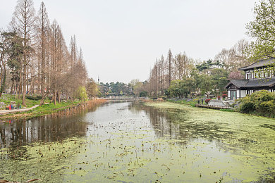 男男动漫黄色十八禁网站｜揭秘成人动漫秘境：男男动漫黄色十八禁网站，探索激情浪漫世界-2