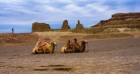 狠狠干综合｜焕新区域经济引擎：民生福祉与社会治理双提升的“狠狠干综合”实践-1