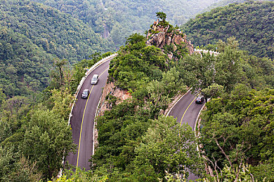 龙物官网yw193｜龙物官网焕新启航，AI赋能打造个性化网络新纪元-2