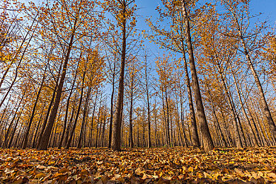 厨房后入｜美食谜境：厨房后门解密冒险之旅-2