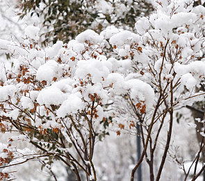 黄色软件app大全免费下载oppo｜Oppo平台惊现色情APP，网络监管引深思，共建清朗网络环境