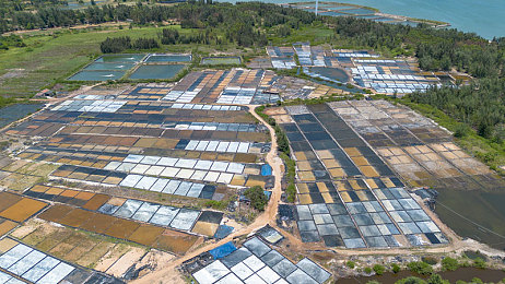 91吃瓜中心-今日黑料-最新|娱乐圈危机:在聚光灯下承担责任-2