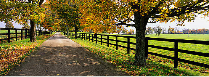 黄色软件免费下载APP.3.0.|网络惊现“黄色软件免费下载APP.3.0.”,非法内容引发社会关注-1