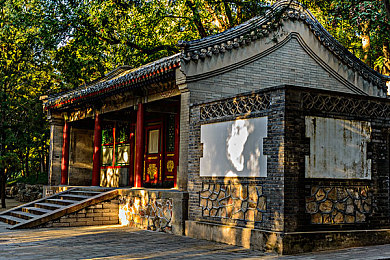 一个妈妈7中字头强华驿｜逆境成长：张丽的故事，传递正能量之旅-4