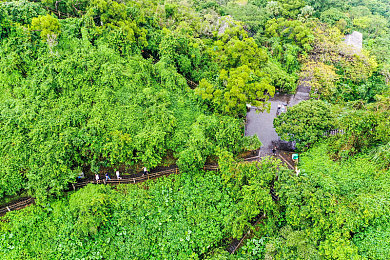 黑料布打样｜时尚创意工坊：黑料布打样，设计新境界-2