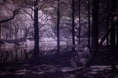 黄三色是哪三色颜色组成的图片｜色彩之谜：黄三色的奇幻之旅-2