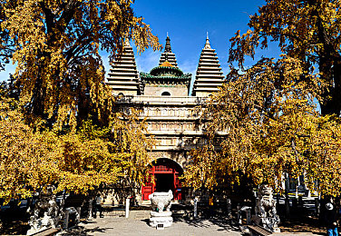 极端奴役性受虐狂｜揭秘：探索“极端奴役性受虐狂”的内心世界，揭开神秘心理现象的面纱-4