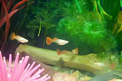 爱情电影网aqdy鲁丝片二区1|穿越时空的爱情传奇:aqdy鲁丝片二区1浪漫之旅-3