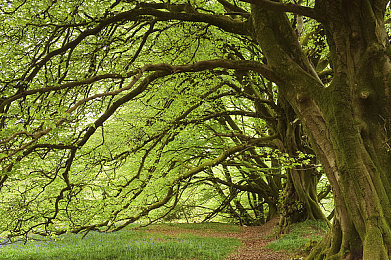 年轻的母亲在线观看｜育儿宝典，智慧妈妈成长之旅-3