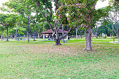 8x成人|畅享欢乐时光,"8x成人"带你解锁全新娱乐体验-2