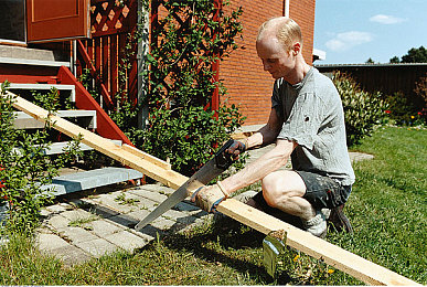 斗罗大陆樱花弹幕有弹窗｜斗罗大陆樱花弹幕，惊喜弹窗，动漫互动盛宴-1