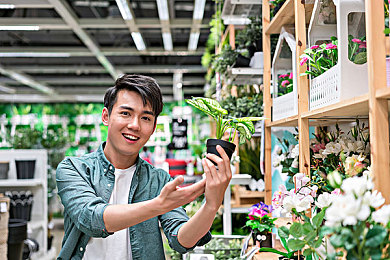 麻豆入口｜麻豆产业助力乡村振兴：种植、加工、市场流通全面开花，农民增收产业繁荣-2