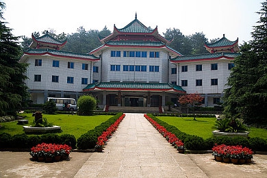 纯洁轮舞曲无增删樱花带翻译歌｜穿越樱花之舞，心灵洗净的旋律之旅-5