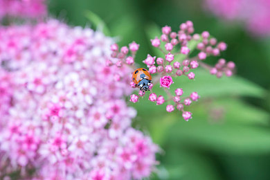 美女 脱脱打扑克舌吻|“扑克场亲密互动引热议:公共场合行为规范再思考,文明社交共塑和谐环境”-1