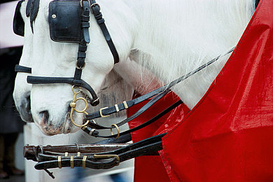 甘雨乳液｜千年传承，科技焕新：揭秘甘雨乳液护肤传奇，感受肌肤水润魅力-3
