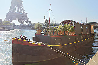 汤姆影院tom最新地域网名怎么取｜地域网名巧选，汤姆影院打造个性化观影新体验-2