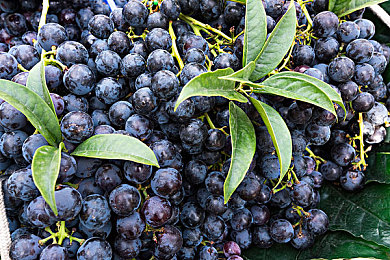 绿巨人污蔑｜揭露“绿巨人污蔑”真相：网络谣言危害与清朗环境呼吁-2