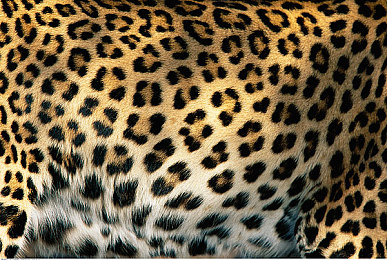 xxx国产｜国产巅峰，创新潮流之旅-4