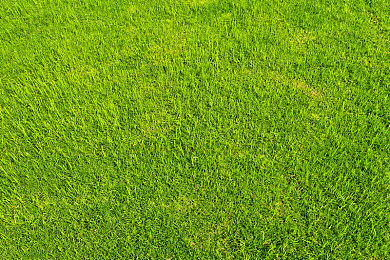 稀缺360偷拍学生情侣|“隐私危机敲警钟:揭秘“稀缺360”偷拍事件,捍卫公民合法权益”-2