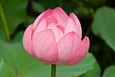 爽 躁多水 快 深点澳门男男｜澳门赌城冒险，刺激游戏盛宴-1