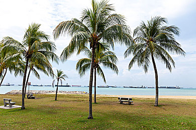 名泬pics多毛|网络迷因狂欢:名泬Pics多毛解密之旅-2