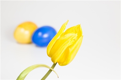 黄色软件app下载oppo｜OPPO秘境探秘：成人娱乐盛宴，高清畅享之旅-2