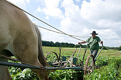 尤物yw193.coc在线影院｜网络影视平台崛起挑战多：尤物yw193.coc在线影院版权监管成焦点-1