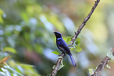 两年半色板网站｜色彩搭配新纪元，两年半色板网站引领潮流风尚