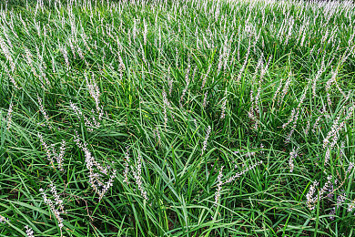 dd4破解版免费无需登录|“dd4破解版免费无需登录引热议:版权与隐私的较量,如何平衡?”-4