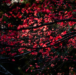 麻麻太深 拔出来 痛｜揭秘“麻麻太深，拔出来痛”：身体警示信号应对攻略，提升生活品质-2