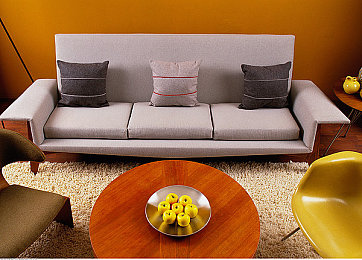 含羞草实验所隐藏2024｜穿越时空秘境：含羞草实验所2024解谜探险之旅-1