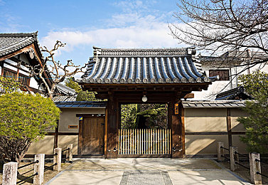 罗宾治疗青春期乔巴｜青春共鸣：罗宾助力乔巴蜕变，动漫友谊映照现实成长之路-1