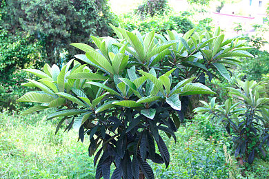 红豆2.0多功能地铁逃生｜地铁逃生先锋：红豆2.0安全护航之旅-5