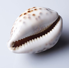 二次元痛二次元人物免费｜二次元人物免费开放引热议：产业变革与文化消费新思考-3