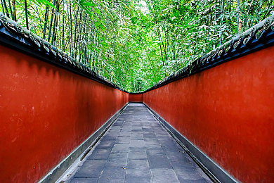 奴役虐性XXX奴役虐性XXX｜揭露黑工厂：残酷现实下的劳动者求生之路-2