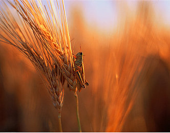 女子拳头交后啤酒瓶交｜街头冲突：女子怒砸啤酒瓶，公共安全警钟长鸣-2