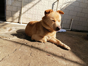 海盗2斯塔涅复仇2成｜《海盗2：斯塔涅复仇2成》游戏攻略揭秘，冒险旅程等你开启