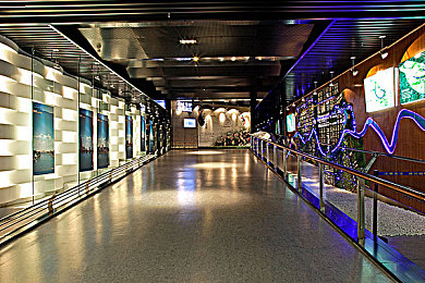 欧美人体内 精ggggg｜欧美与亚洲微量元素差异，饮食习惯与生活环境揭示健康之谜-2